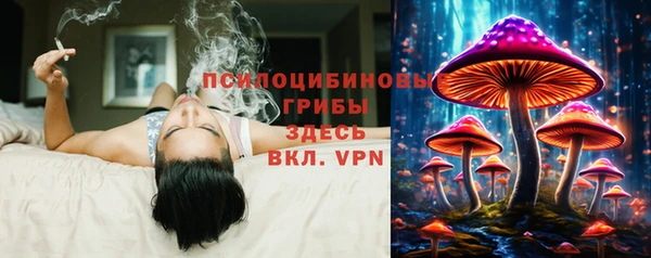 гидропоника Ладушкин