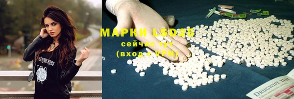 гидропоника Ладушкин